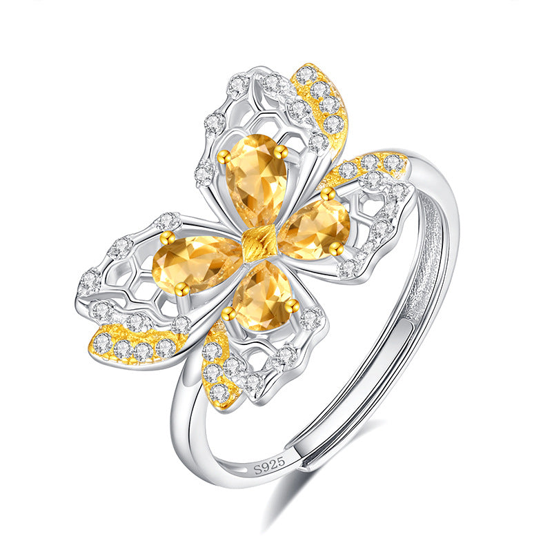 Natural Crystal Stone Butterfly Jewelry 